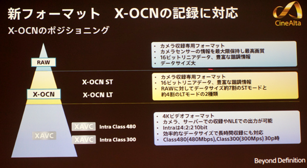 XOCN06.jpg