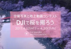 DJI、空撮写真と地上動画コンテスト「DJI で桜を撮ろう」を開催