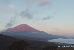 キヤノンEOS C200をネイチャー撮影の現場で試す