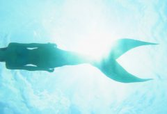 【Views】『Mermaid』2分56秒～マーメイド（人魚）が泳ぎ、潜り、そしてまた泳ぐ。C.G.ではなく実写だけで描くファンタジーワールド!!