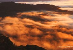 【Views】『雲海 sea of clouds』4分24秒～まるで意思をもっと生き物のように山肌を這い回るような、まさに雲たちの海を山頂から描き上げる