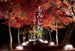 【Views】『もみじ祭り〜こころ静かに紅葉を観る会〜』58秒～心静かにというコンセプトで、カメラはしっとりと宵闇の紅葉を追う。 昼間とはまた違った紅葉の陰の魅力が顔を出す