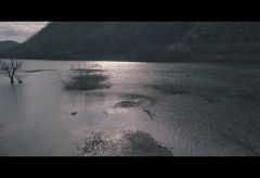 【Views】『Lake Senjouji』1分26秒～晩秋の湖の風景を、神秘的なタッチでスケッチ。静かに流れる音楽とカメラは丁寧に湖面を進む