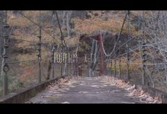 【Views】『Unknown Bridge』2分45秒～秋の風景にとけ込むような1本の見知らぬ古い吊り橋。そこに訪れるひとりの女性とともに丁寧に描きあげる