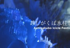 【Views】『Ashigakubo icicle Festival [あしがくぼ氷柱祭り]』1分25秒～氷柱たちが光の中でその輝きを変えていく