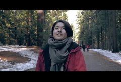【Views】『Yosemite Travel Video』1分41秒～広大な面積を誇るアメリカ、ヨセミテ国立公園をミクロの視点から描くという逆転の発想