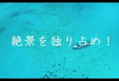 【Views】『ビーチボーイクラブでウミガメと泳ごう』3分08秒〜エメラルドグリーンが続く海、そしてSUP（サップ）・シュノーケリング。トリを務めるのは巨大なウミガメ。まさに南の島で過ごす夢のひととき