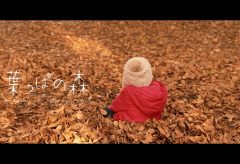 【Views】『葉っぱの森~ My daughter with Fallen leaves forest~』5分54秒〜母娘が訪れた公園の一角の小さな森の物語。幸せな一時をまるで絵本のように物語にしてしまった作者のプチ・ファンタジー
