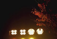 【Views】609『親緑57 歴史が響く五重塔』1分31秒〜京都東寺五重塔のもうひとつの夜の顔を不思議な世界観でコンパクトに見せる