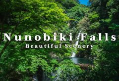 【Views】『Nunobiki Falls -Beautiful Scenery-』2分3秒〜神戸六甲山のふもと、布引の滝を様々な視点から点描していく。 渓流の流れの音とともに心に染み入る