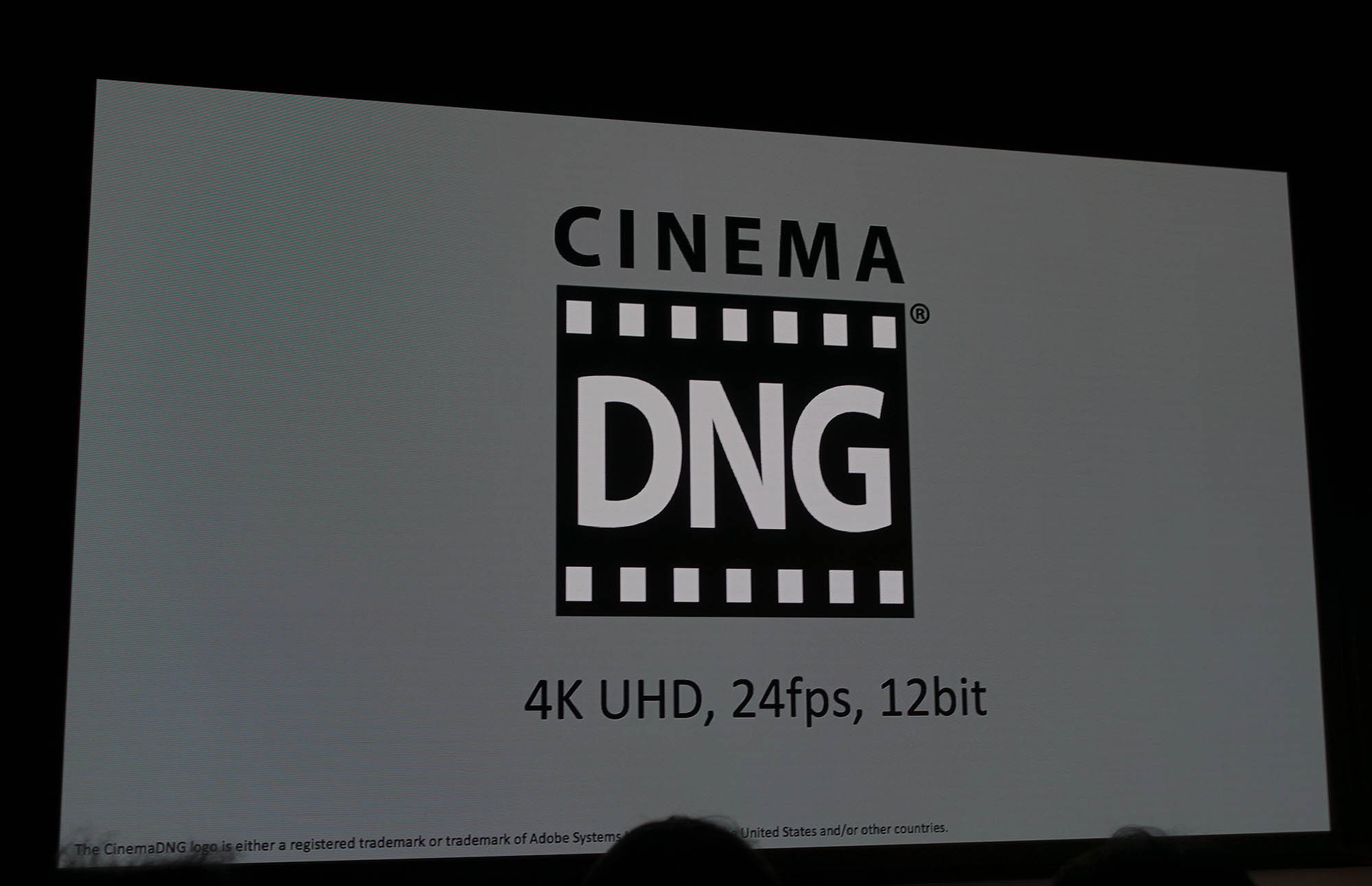 ポケットサイズで4k Uhd Cinemadng Raw記録に対応する Sigma Fp のシネカメラ関連機能をチェックする ビデオsalon