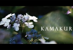 【Views】681『KAMAKURA』3分39秒〜鎌倉の風情をナチュラルな視点で淡々と点描していく