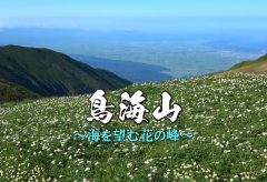 【Views】800『鳥海山～海を望む花の峰～』5分52秒〜夜明け前から始まる鳥海山の1日。思わず深呼吸してしまいそうなその眺望が、リアルに迫ってくる