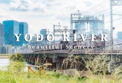 【Views】808『YODO RIVER -Beautiful Scenery-』1分42秒〜ビル群と草花の対比が醸し出す都会のオアシス感を小気味よく描く