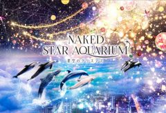 ネイキッド、マクセル アクアパーク品川にて「NAKED STAR AQUARIUM －星空のクリスマス－」を演出