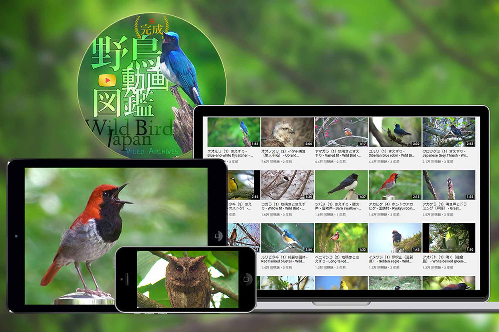 日本最大級の野鳥YouTube図鑑、デジタルアーカイブ『野鳥動画図鑑』が