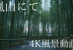 【Views】1093『京都嵐山にて』2分7秒〜京都嵐山の風景を鮮烈に描き出す