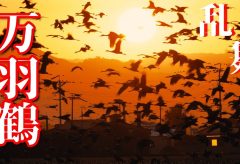【Views】1131『万羽鶴の舞う街』4分22秒〜鹿児島県出水市に毎年越冬のためにやって来る鶴を撮影
