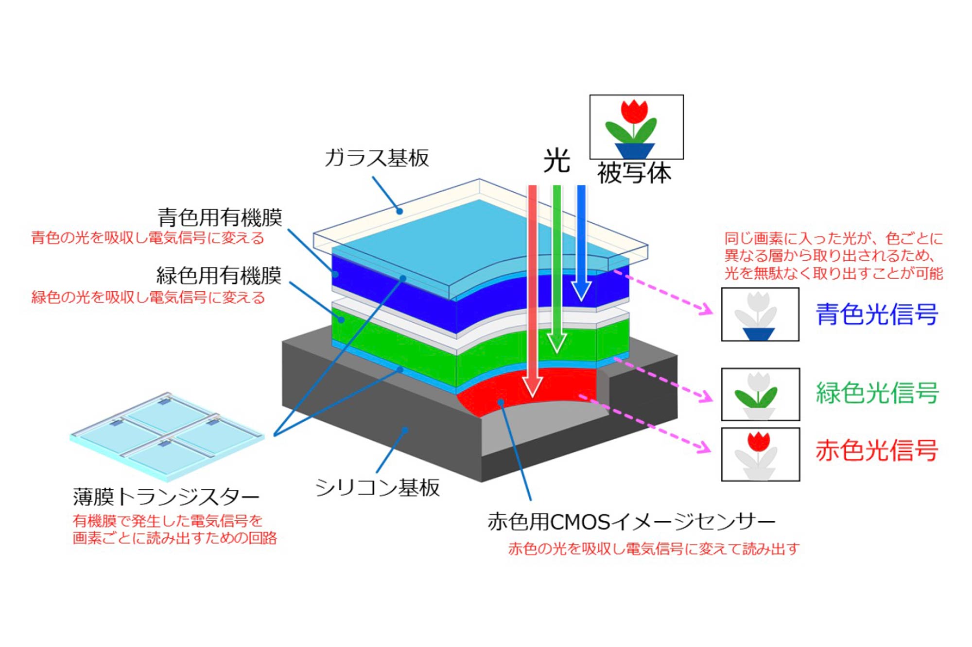 NHK、有機膜を積層した 3 層カラー撮像素子を開発 | VIDEO SALON