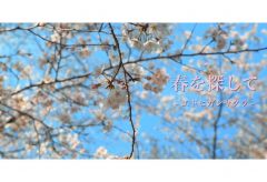 【Views】1197『春を探して』3分10秒〜ラストの桜色が眩しいドキュメントタッチのトレッキング・ムービー