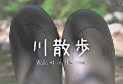 【Views】1254『川散歩 Walking in the river』2分28秒