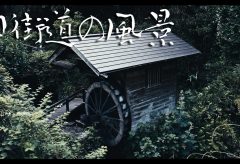 【Views】1303『奈良壺阪山旧街道の散歩』2分54秒