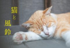 【Views】1310『猫と風鈴』3分56秒