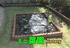 【Views】1390『ミニ菜園history』5分25秒