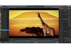 ソニー、XAVC S / XAVC HSのビューイングやクリップ管理のPCアプリケーション Catalyst Browse Version 2020.1等の提供を開始