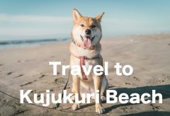 【Views】1410『Travel to Kujukuri Beach』2分30秒