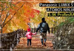 【Views】1425『”Autumn Leaves”Kinsenkyo』3分40秒