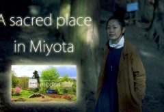 【Views】1548『A sacred place in Miyota』2分