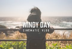 【Views】1620『WINDY DAY』1分40秒