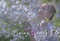 【Views】1671『Balmy spring day』1分19秒