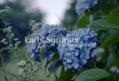 【Views】1760『Early Summer』2分42秒