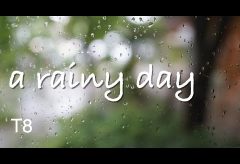 【Views】1854『a rainy day』2分54秒