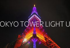 【Views】1906『美しい東京タワーのイルミネーション《 Infinity Diamond Veil 》』1分20秒
