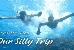 【Views】1936『Our Silly Trip』1分50秒