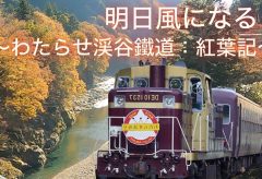 【Views】1940『明日風になる〜紅葉とわたらせ渓谷鐵道〜』5分40秒