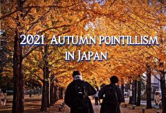 【Views】1943『2021 Autumn pointillism / 秋の点描』2分3秒
