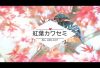 【Views】1957『紅葉と翡翠 〜モミジカワセミ = モミカワ動画〜』1分56秒