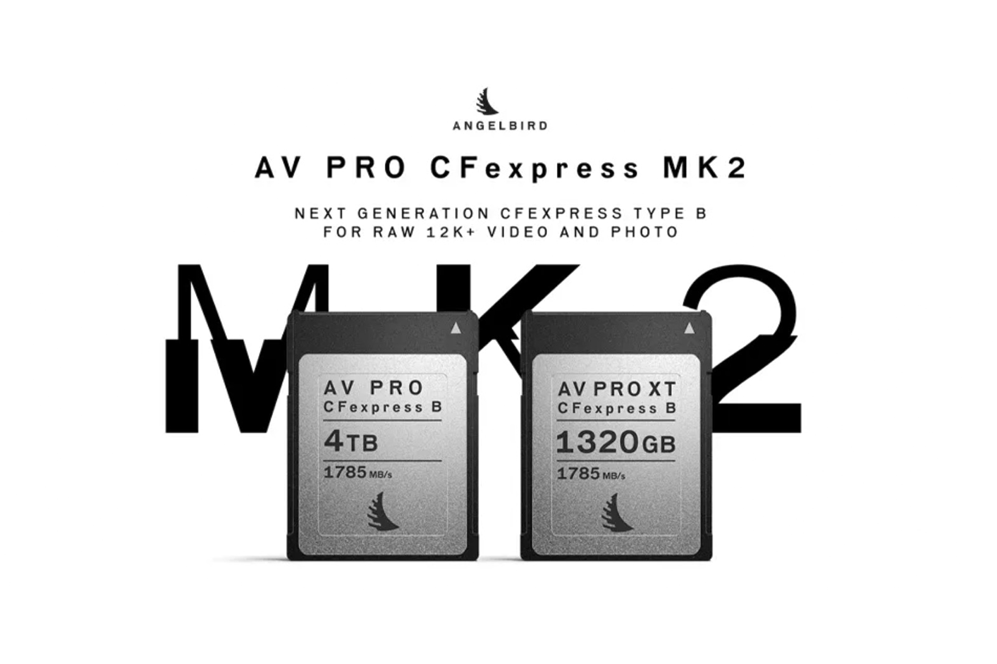 ディリゲント、Angelbird のCFexpress Type Bメモリーカード AV Pro ...