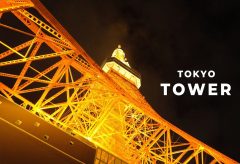【Views】2002『Tokyo-Tower』2分59秒