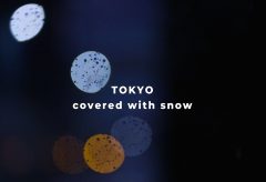 【Views】2012『TOKYO covered with snow』3分16秒