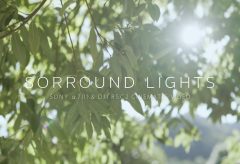 【Views】2029『SORROUND LIGHTS』2分46秒