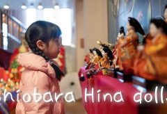 【Views】2064『Shiobara Hina dolls』4分39秒