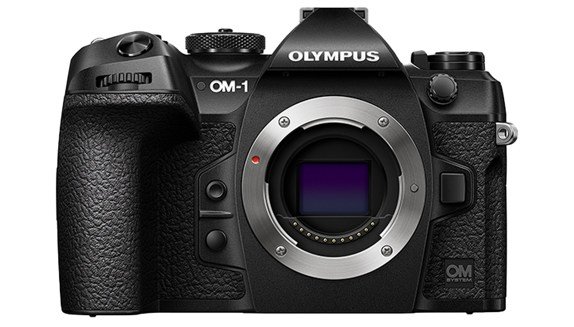 【超レア】OLYMPUS ツインフラッシュ OM System