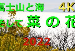 【Views】2094『菜の花と富士山と海』3分17秒