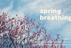 【Views】2100『spring blossom | 保土ヶ谷公園 梅園』2分1秒
