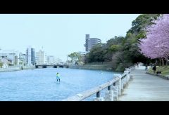 【Views】2115『桜と平和』1分38秒